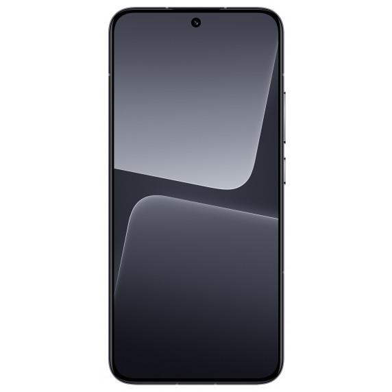 Xiaomi Mi 13 Pro 12/256GB Black