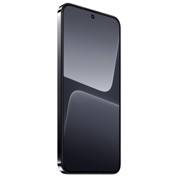 Xiaomi Mi 13 Pro 12/256GB Black